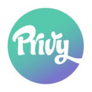 Privy as alternative to Mailchimp