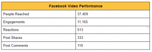 facebook video performance